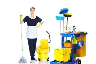 兩萬元創業路 從零打造互聯網家政保潔服務